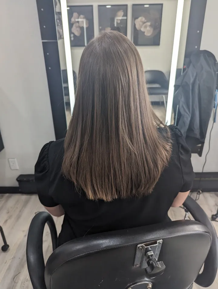 Long, straight brown hair blown out smooth, seen from the back